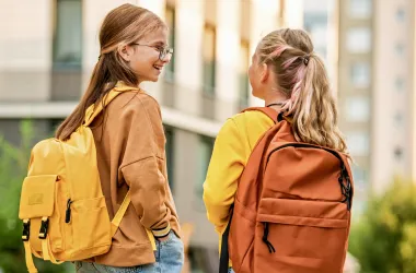 Уряд визначив пріоритетні шкільні предмети для очного навчання
