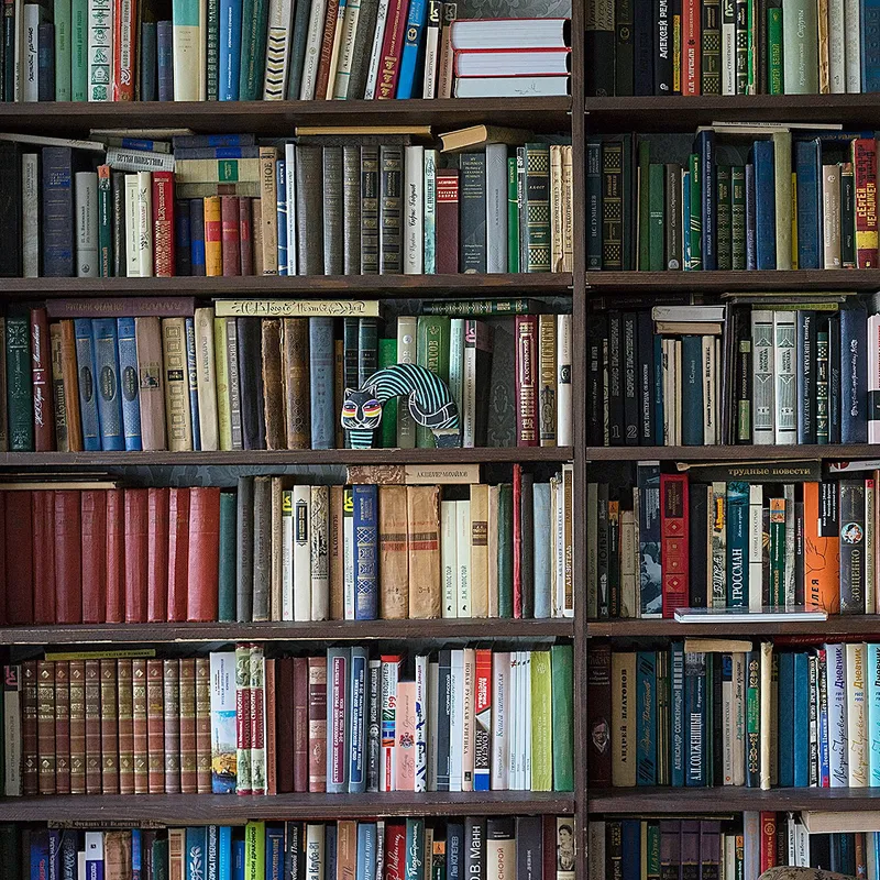 10 геніальних ідей, які з'явилися в книгах
