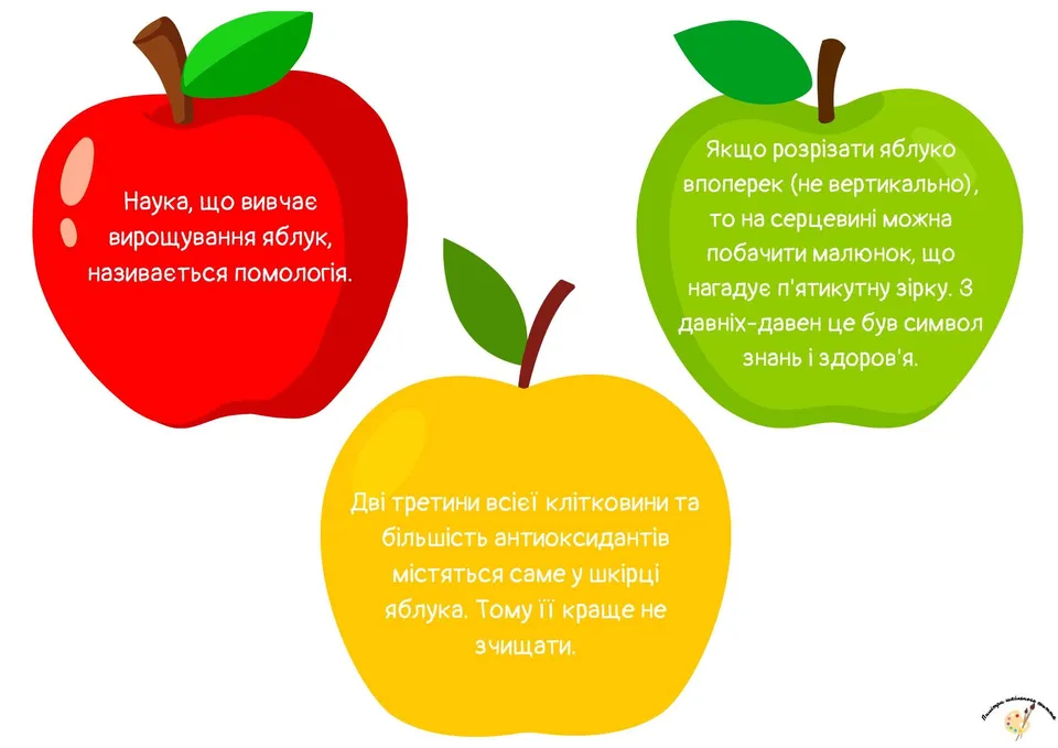 Нет описания фото.
